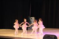 IMG_1561