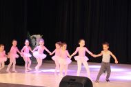 IMG_1569